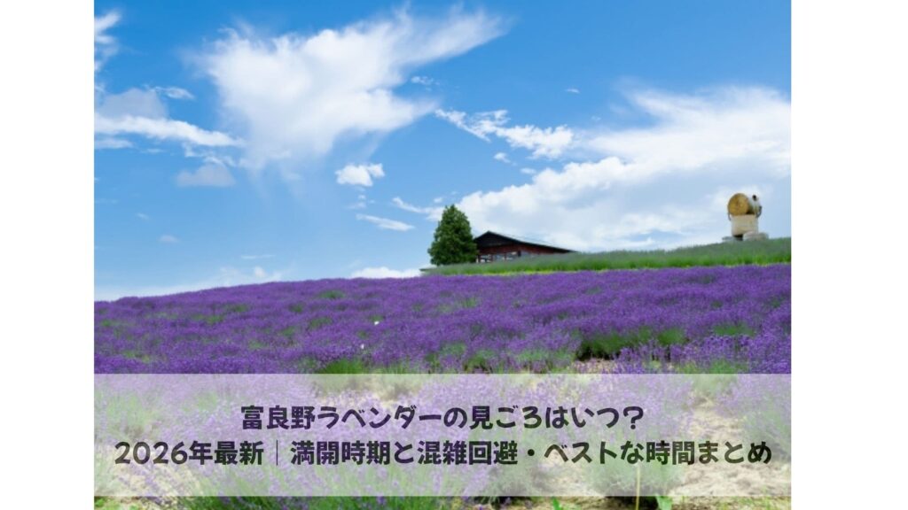 富良野のラベンダーいつ？