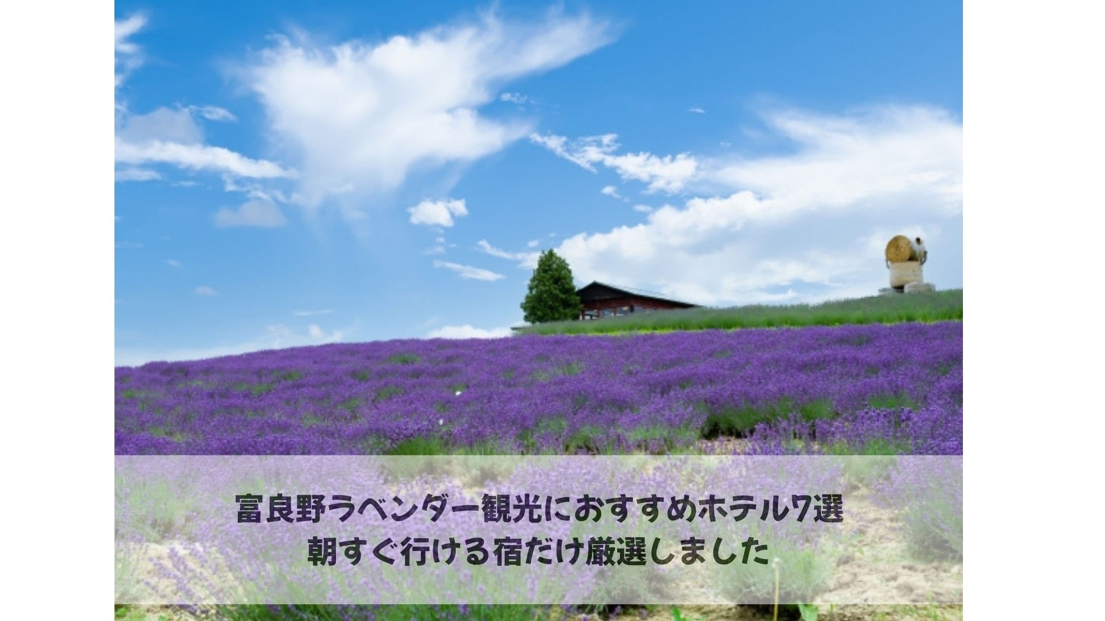 ラベンダー観光