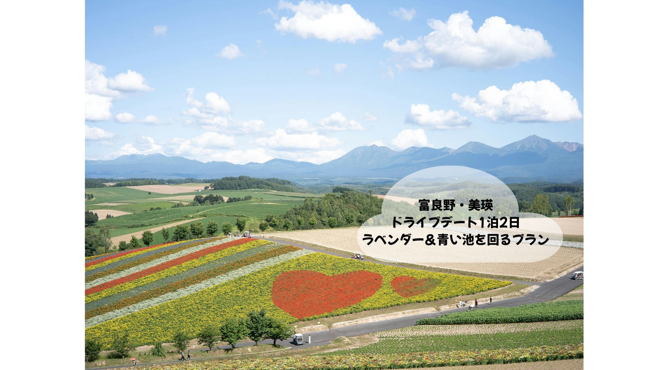 富良野・美瑛ドライブ