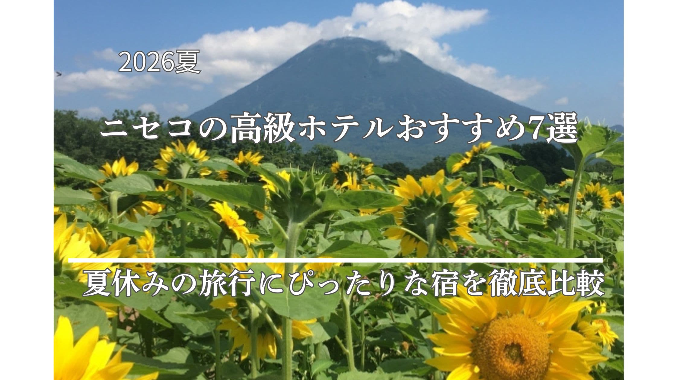 ニセコ高級ホテル (